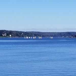 Meet your Posher, Lynn